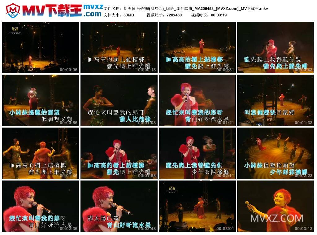 胡美仪-采槟榔(演唱会)_国语_流行歌曲_MA205458